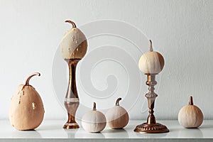 Thanksgiving decoration. Minimal autumn inspired room decoration. Selection of various pumpkins on white shelf.