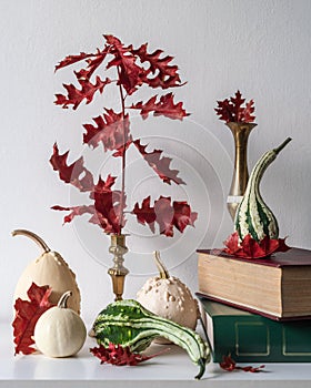 Thanksgiving decoration. Minimal autumn inspired room decoration. Selection of various pumpkins on white shelf.