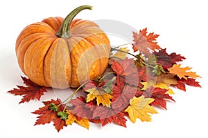 Thanksgiving decoration with pumpkin and fall leaves