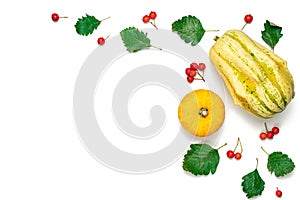 Thanksgiving dinner. Autumn Natural food with orange pumpkin, fall dried leaves, rowan berries isolated on white