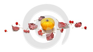 Thanksgiving dinner. Autumn Natural food with orange pumpkin, fall dried leaves, rowan berries isolated on white background.