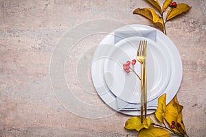 Thanksgiving dinner place setting, fallen leaves with plate and cutlery