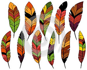 Thanksgiving or Fall Colored Feathers