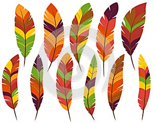 Thanksgiving or Fall Colored Feathers