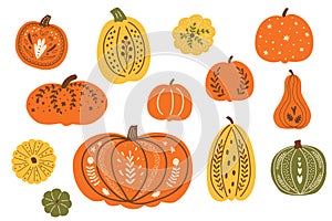 Thanksgiving festive pumpkins. Decorative fall pumpkins set. Autumn pumpkins vector. Top view