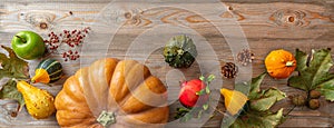 Thanksgiving flat lay with colorful pumpkins, fruits and fall leaves on rustic wooden background, banner