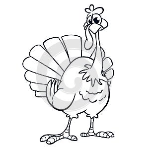 Thanksgiving funny cartoon outline. Vector cartoon turkey for coloring book