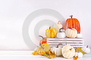 Thanksgiving, Halloween fall autumn season holiday background