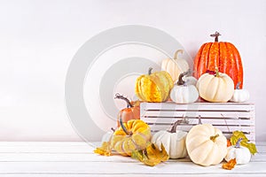 Thanksgiving, Halloween fall autumn season holiday background