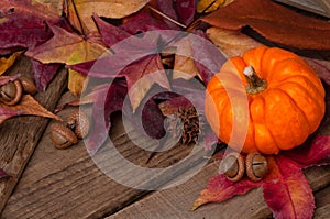 Thanksgiving or Halloween Still Life scene with colorful fall leaves and a mini pumpkin on rustic wood board table with copy space