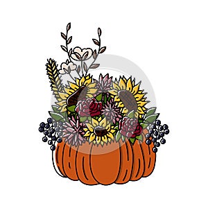 Thanksgiving hand drawn doodle stylew pumpkin and autumn flowers centerpiece. Agonis and willow eucaliptus, cotton flower and fall