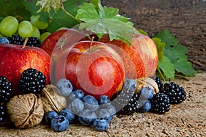 Thanksgiving harvest still life