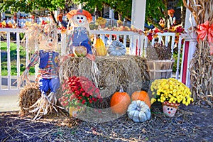 Thanksgiving Holiday Autumn Harvest Display Pumpkin Patch Halloween