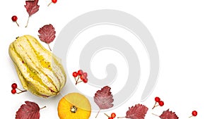 Thanksgiving holiday. Autumn Natural food, harvest with orange pumpkin, fall dried leaves, rowan berries isolated on white