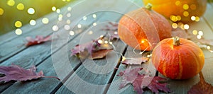 Thanksgiving holiday party background, autumn pumpkin and holidays light decoration
