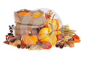 Thanksgiving with jute bag