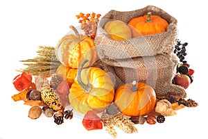 Thanksgiving with jute bag