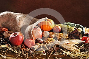 Thanksgiving with jute bag