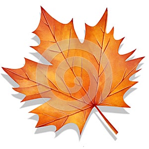 Thanksgiving Maple Leaf Autumn Illustration photo