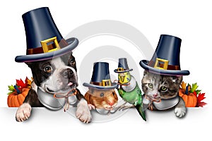 Thanksgiving Pet Celebration