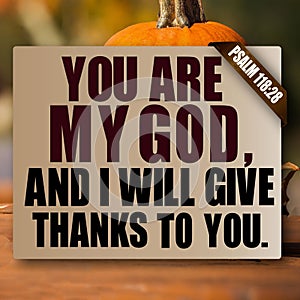 Thanksgiving Psalm 118:28