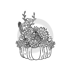 Thanksgiving pumpkin and autumn flowers centerpiece. Agonis and willow eucaliptus, cotton flower and fall rose, sunflower and