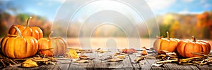 Thanksgiving Pumpkins And Leaves On Rustic Wooden Table With Sunlight