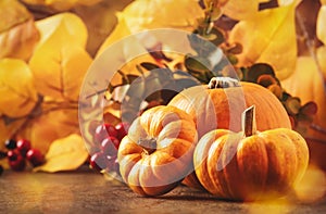 Thanksgiving Pumpkins Still Life On Rustic Wooden Background - Autumn Harvest Festival Concept Table Setting, Banner With Copy