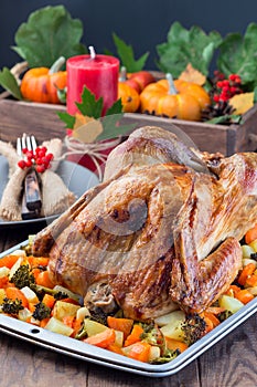 Thanksgiving roasted turkey with vegetables, carrot, parsnip, potato on a tray. Autumn decorations with leaves, rowan berries and