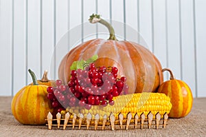 Thanksgiving still life - berries, corn and