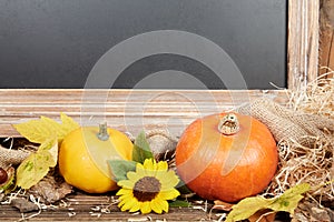 Thanksgiving still live with pumpkins and a blackboard