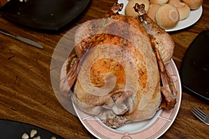 Thanksgiving turkey