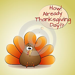 Thanksgiving Turkey Banner with text How! Already Thanksgiving Day!? Bird turkey drawing line Vector