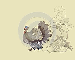 Thanksgiving turkey and cornucopia