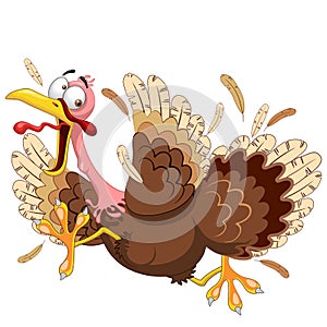 Thanksgiving Turkey Funny Scared and Running Cartoon Character Vector Illustration