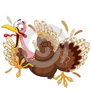 Thanksgiving Turkey Funny Scared and Running Cartoon Character Vector Illustration photo
