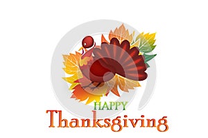 Thanksgiving turkey greetings card background