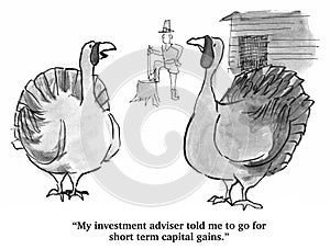 Thanksgiving Turkey Investment Strategy