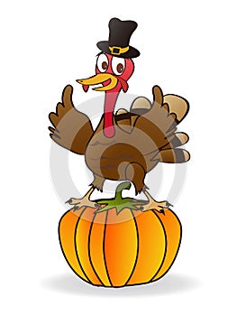 The thanksgiving turkey on pumpkin