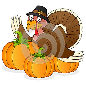 Thanksgiving Turkey and Pumpkins