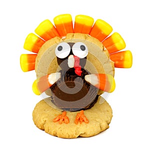 Thanksgiving turkey shaped cookie isolated on white