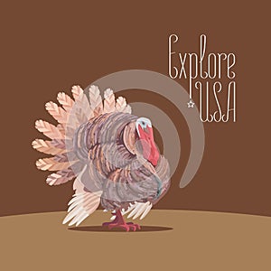Thanksgiving turkey for travel to USA concept vector illustration