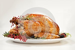 Thanksgiving Turkey on White