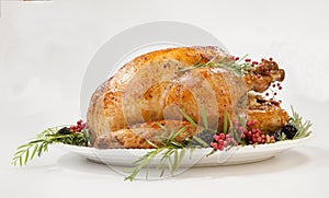 Thanksgiving Turkey on White