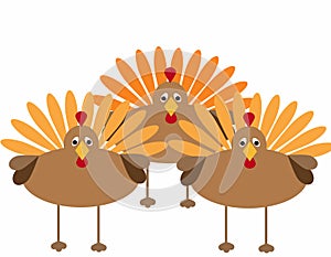 Thanksgiving Turkeys photo
