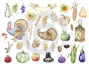 Thanksgiving watercolor big set, cornucopia, turkey and fruits, berries