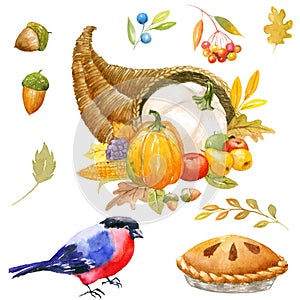 Thanksgiving watercolor clipart