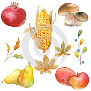 Thanksgiving watercolor clipart