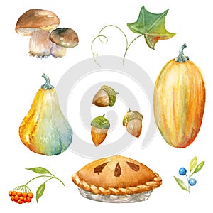 Thanksgiving watercolor clipart