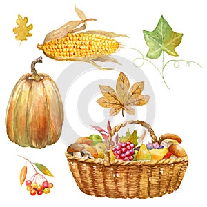 Thanksgiving watercolor clipart